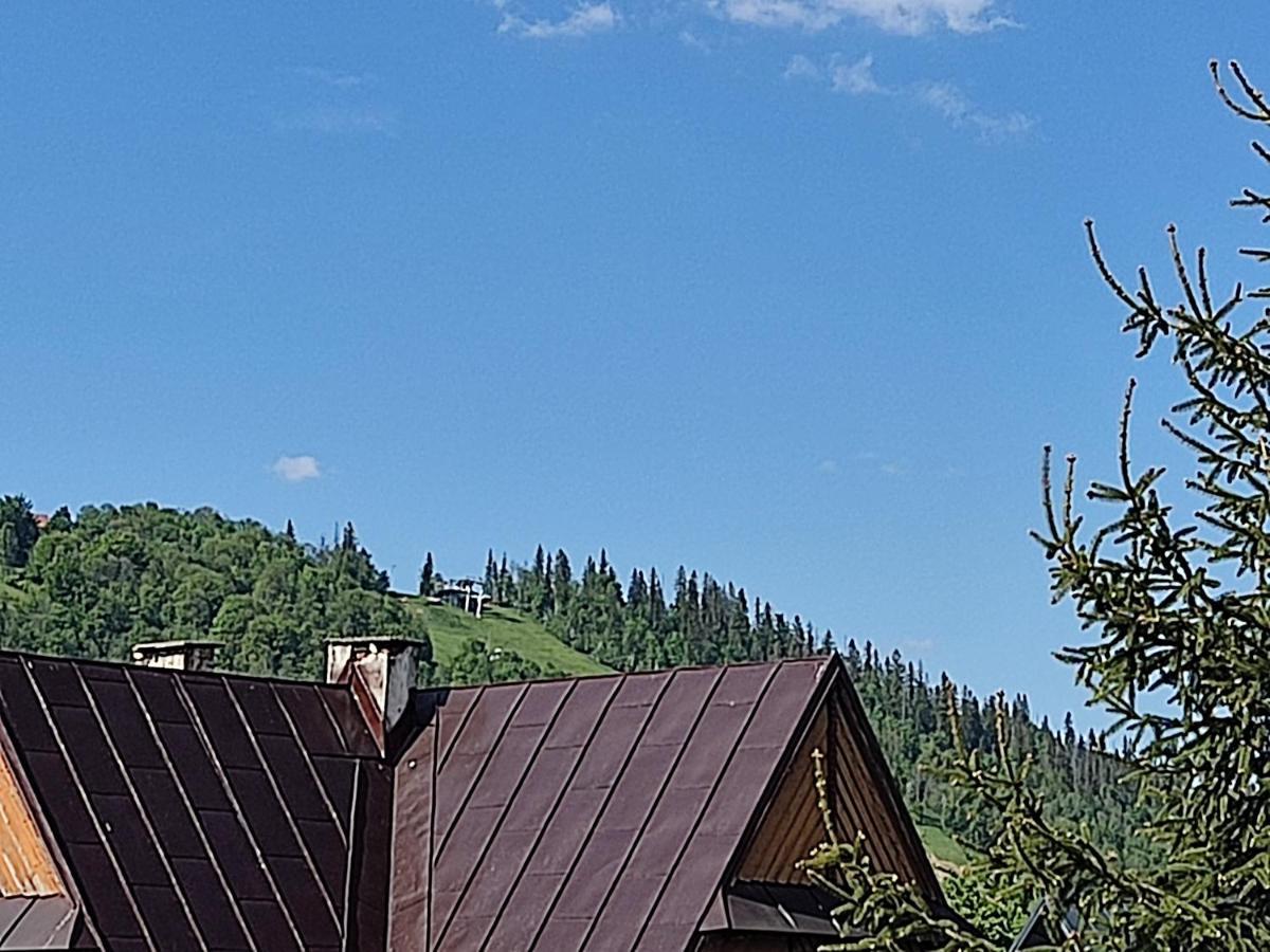 Willa Seba Zakopane Exterior photo