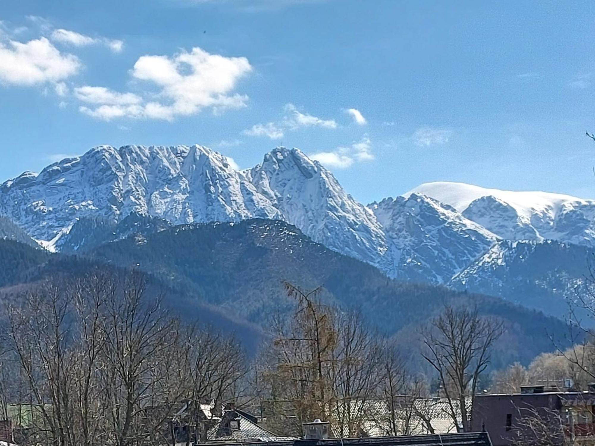 Willa Seba Zakopane Exterior photo